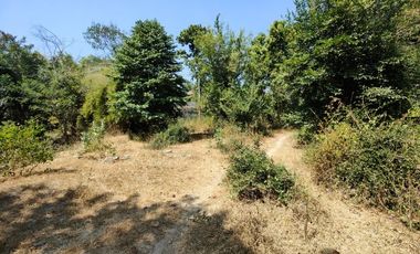 3-2-0 Rai | Tree Covered Land For Sale  Subdivided Into 3 Home Building Plots