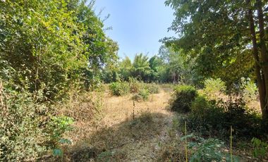 3-2-0 Rai | Tree Covered Land For Sale  Subdivided Into 3 Home Building Plots
