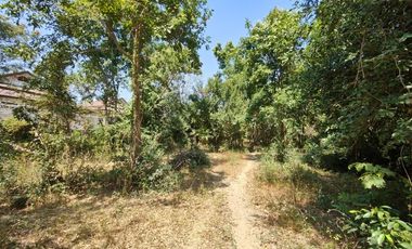 3-2-0 Rai | Tree Covered Land For Sale  Subdivided Into 3 Home Building Plots