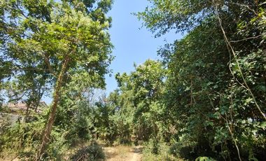 3-2-0 Rai | Tree Covered Land For Sale  Subdivided Into 3 Home Building Plots