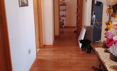 Departamento, Edificio Punta Tamarugo