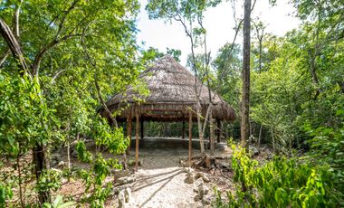 Departamento en Venta en Tulum – Alberca Privada, Residencial con Amenidades