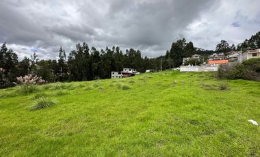 AMPLIO TERRENO TOTALMENTE PLANO