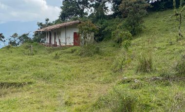 VENDO TERRENOS SEMI PLANOS DESDE 91 MILLONES , INICIAL Y  CUOTAS MENSUALES, EN BARBOSA ANTIOQUIA.