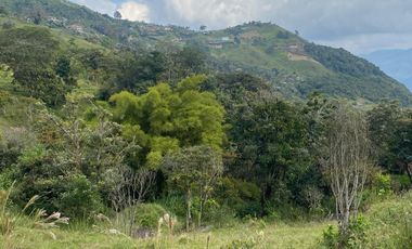 VENDO TERRENOS SEMI PLANOS DESDE 91 MILLONES , INICIAL Y  CUOTAS MENSUALES, EN BARBOSA ANTIOQUIA.