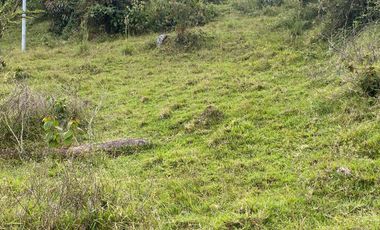VENDO TERRENOS SEMI PLANOS DESDE 91 MILLONES , INICIAL Y  CUOTAS MENSUALES, EN BARBOSA ANTIOQUIA.
