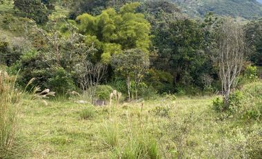 VENDO TERRENOS SEMI PLANOS DESDE 91 MILLONES , INICIAL Y  CUOTAS MENSUALES, EN BARBOSA ANTIOQUIA.