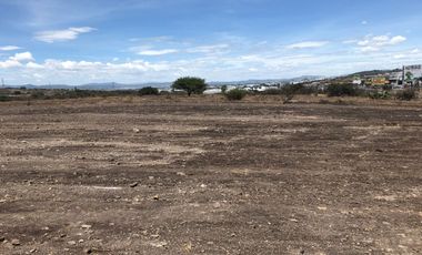 Terreno Industrial en Renta