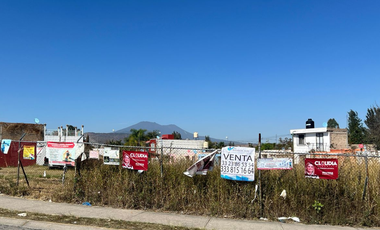 TERRENO COMERCIAL TALA