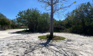 Amplio Terreno en venta en Tamara, residencial de lujo en Mérida Yucatán