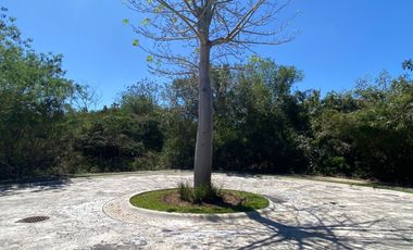 Amplio Terreno en venta en Tamara, residencial de lujo en Mérida Yucatán