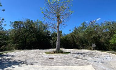Amplio Terreno en venta en Tamara, residencial de lujo en Mérida Yucatán