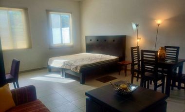 ESTUDIO  AMUEBLADO EN RENTA EN HUAYACAN , $7,900.00 / CERCA DE FONATUR Y KABAH