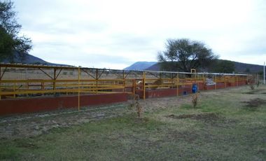Rancho en venta en Los Cedros, Ixtlahuacán de los Membrillos, Jalisco