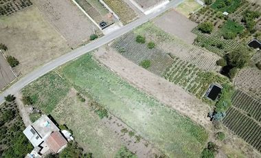 Terreno en Tisaleo San Francisco