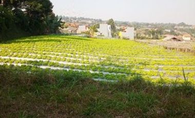 1,82 Ha Tanah Strategis Komersil Mainroad Cisarua Untuk Villa & Wisata, Bandung Barat
