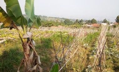 1,82 Ha Tanah Strategis Komersil Mainroad Cisarua Untuk Villa & Wisata, Bandung Barat