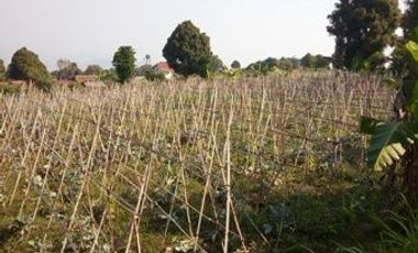 1,82 Ha Tanah Strategis Komersil Mainroad Cisarua Untuk Villa & Wisata, Bandung Barat