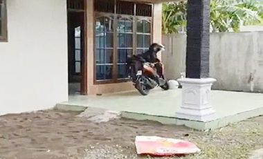 Kontrakan di Kota Solo Surakarta Dekat Masjid Raya Sheikh Zayed, Kampus UNISRI, RSUD dr. Moewardi