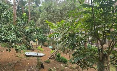Suello Village house for sale!!