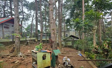 Suello Village house for sale!!