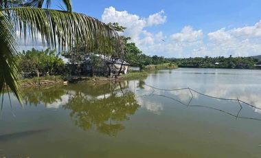 For sale Punong in Ilog Bocana