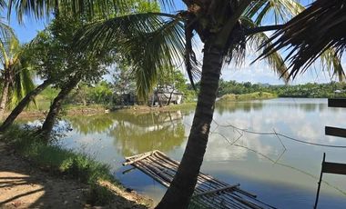For sale Punong in Ilog Bocana