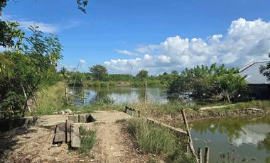 For sale Punong in Ilog Bocana