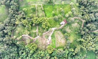 RANCHO MARIANITA- PEDRO VICENTE MALDONADO