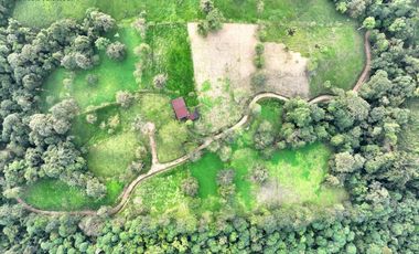 RANCHO MARIANITA- PEDRO VICENTE MALDONADO
