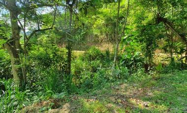 EN VENTA: FINCA CAMPING RIO BLANCO, ARENILLAS