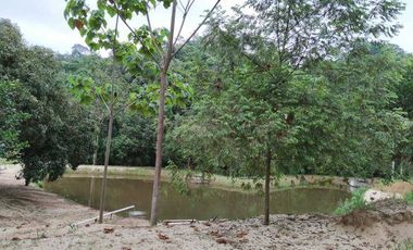 EN VENTA: FINCA CAMPING RIO BLANCO, ARENILLAS
