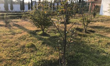 Casa Residencial En Renta, en Jilotepec Edo. Méx. Amueblada Y Con Servicios.