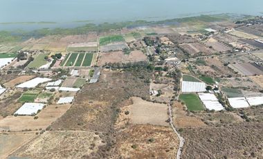 TERRENO EN VENTA EN CARRETERA CHAPALA