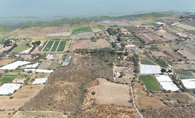 TERRENO EN VENTA EN CARRETERA CHAPALA