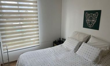 Venta Apartamento Cajilla -Milla De oro