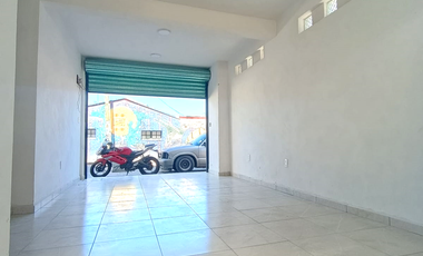 LOCAL EN RENTA, SAN FELIPE DEL PROGRESO, MÉXICO