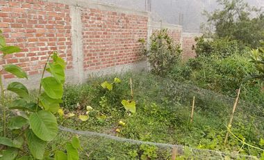 VENTA CASA CON CHACRA SANTA EULALIA ALTURA RESTAURANTE TINAJON 973.19M2 $159,000