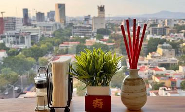 Distrito Chapultepec: Departamento con Hermosa Vista - English Spoken