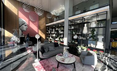 Distrito Chapultepec: Departamento con Hermosa Vista - English Spoken