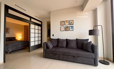Distrito Chapultepec: Departamento con Hermosa Vista - English Spoken