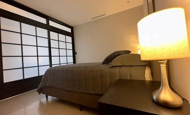 Distrito Chapultepec: Departamento con Hermosa Vista - English Spoken