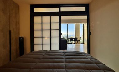 Distrito Chapultepec: Departamento con Hermosa Vista - English Spoken