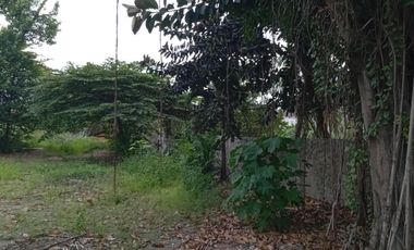 COMMERCIAL LOT ALONG THE ROAD BESIDE GASOLINE STATION IN MANDAUE CITY CEBU