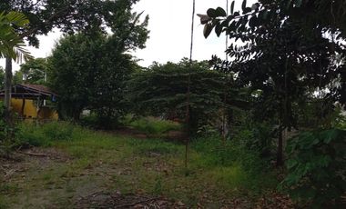 COMMERCIAL LOT ALONG THE ROAD BESIDE GASOLINE STATION IN MANDAUE CITY CEBU