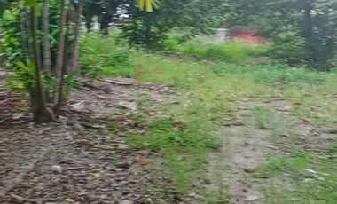 COMMERCIAL LOT ALONG THE ROAD BESIDE GASOLINE STATION IN MANDAUE CITY CEBU