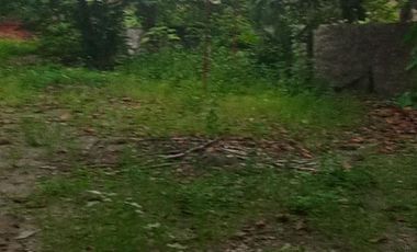 COMMERCIAL LOT ALONG THE ROAD BESIDE GASOLINE STATION IN MANDAUE CITY CEBU