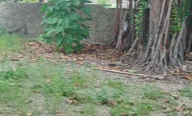 COMMERCIAL LOT ALONG THE ROAD BESIDE GASOLINE STATION IN MANDAUE CITY CEBU