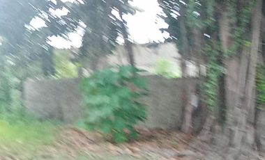 COMMERCIAL LOT ALONG THE ROAD BESIDE GASOLINE STATION IN MANDAUE CITY CEBU