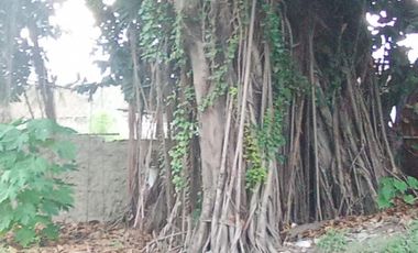 COMMERCIAL LOT ALONG THE ROAD BESIDE GASOLINE STATION IN MANDAUE CITY CEBU
